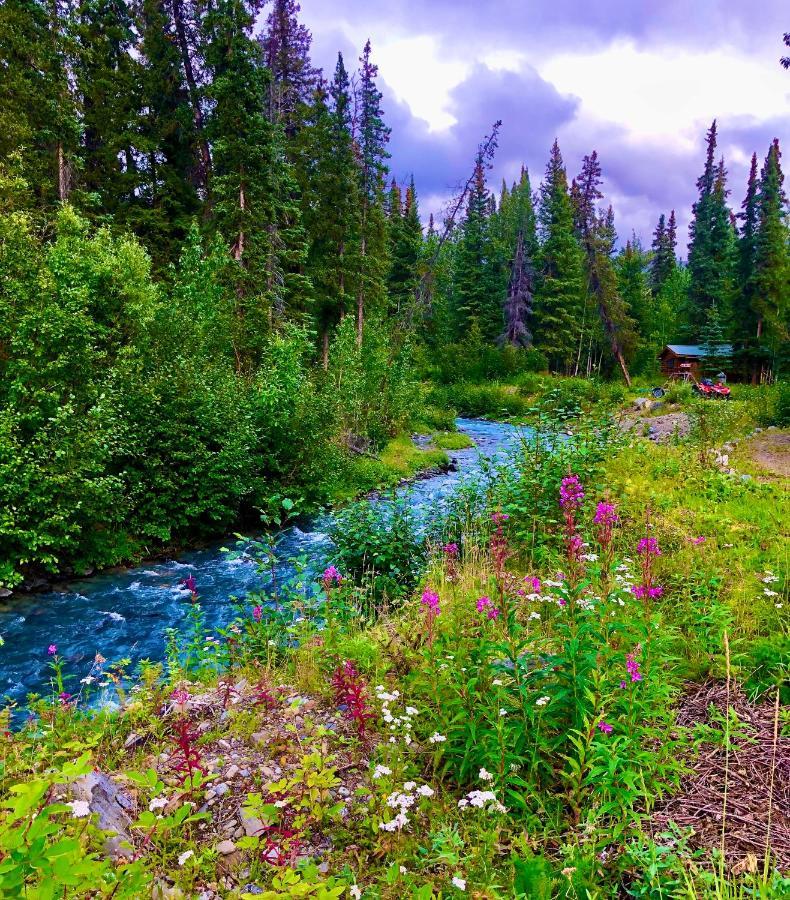 Carlo Creek Cabins Denali Park Extérieur photo