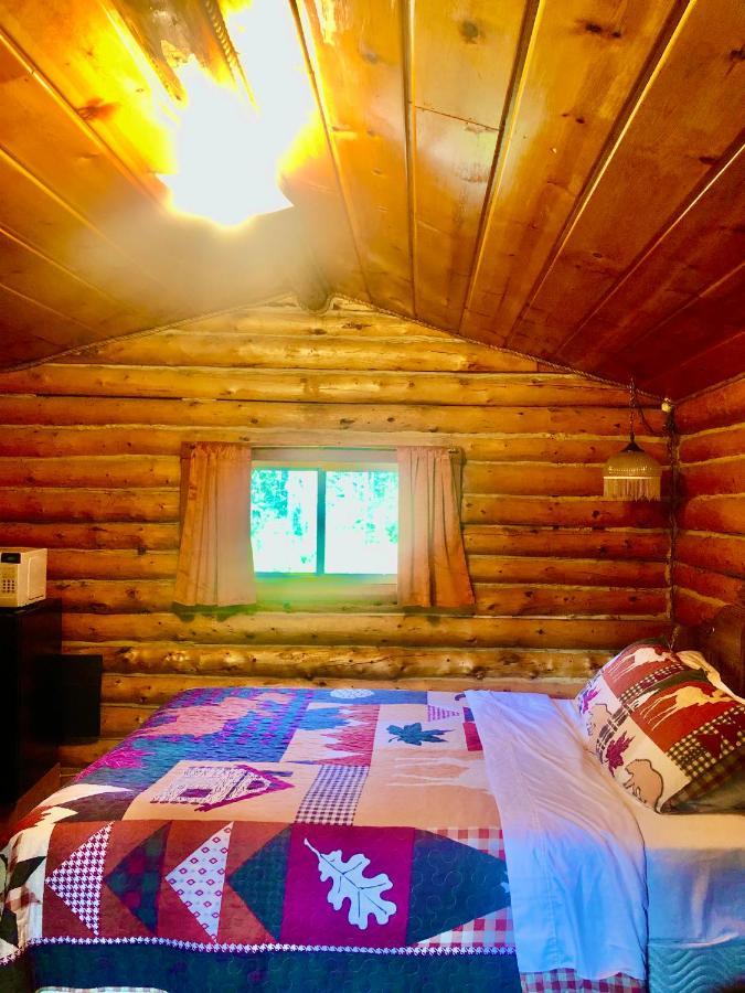 Carlo Creek Cabins Denali Park Extérieur photo