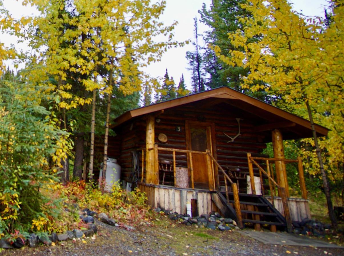 Carlo Creek Cabins Denali Park Extérieur photo