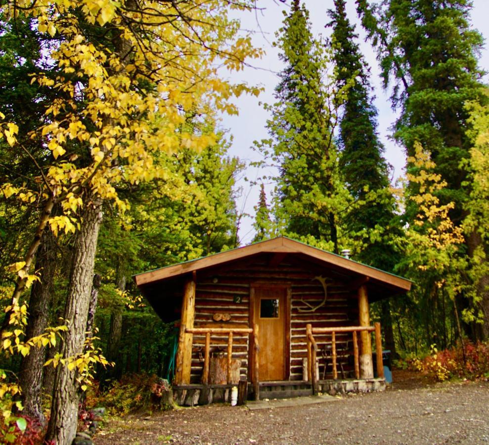 Carlo Creek Cabins Denali Park Extérieur photo
