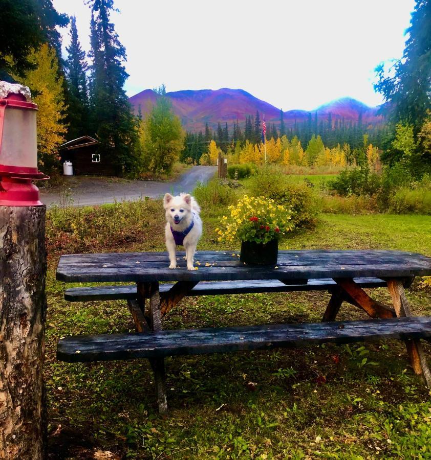 Carlo Creek Cabins Denali Park Extérieur photo