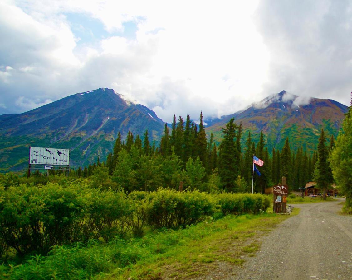 Carlo Creek Cabins Denali Park Extérieur photo