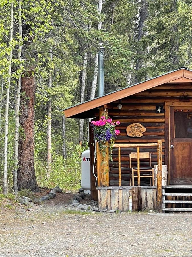 Carlo Creek Cabins Denali Park Extérieur photo