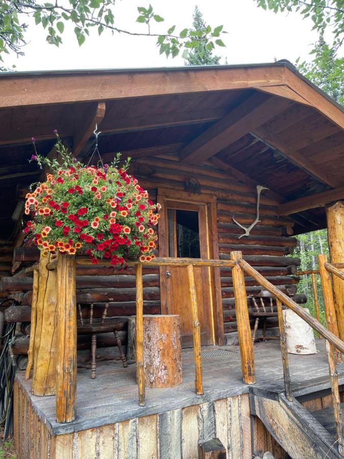 Carlo Creek Cabins Denali Park Extérieur photo