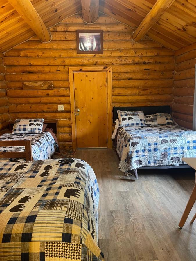 Carlo Creek Cabins Denali Park Extérieur photo
