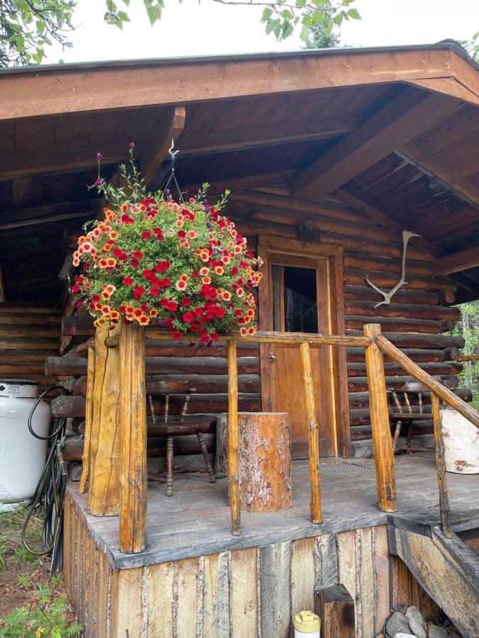 Carlo Creek Cabins Denali Park Extérieur photo