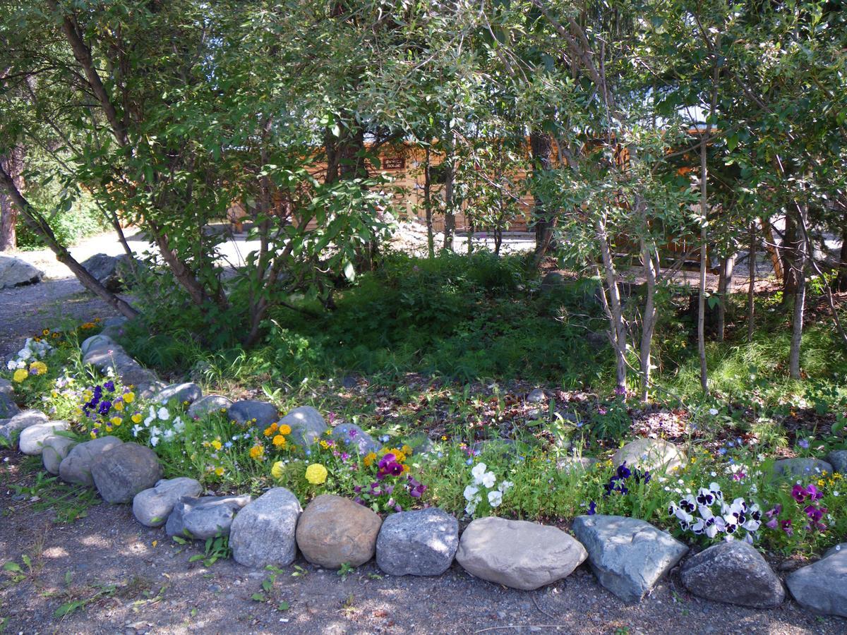 Carlo Creek Cabins Denali Park Extérieur photo