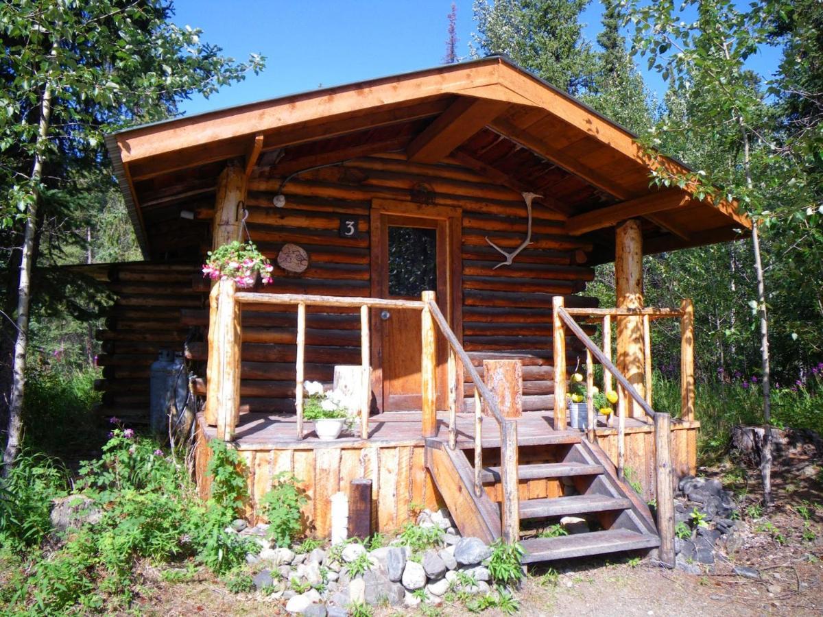 Carlo Creek Cabins Denali Park Extérieur photo